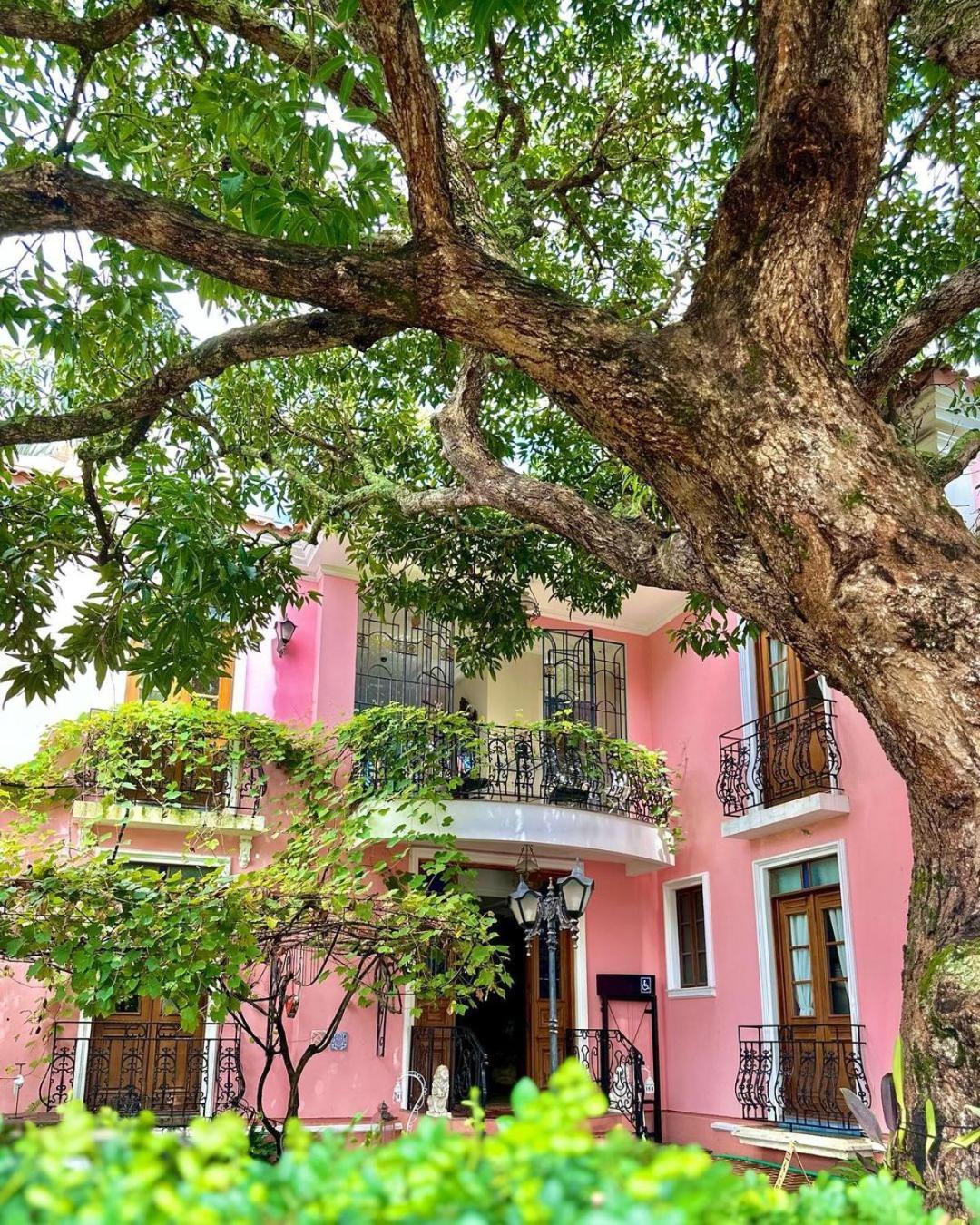 Hotel Boutique Quinta Das Videiras ฟลอเรียนอโปลิส ภายนอก รูปภาพ